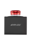 SIMAGIC P-STP Killswitch