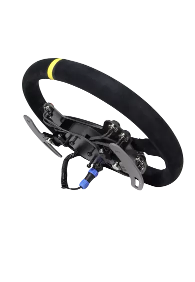 Button Plate GT3 Cup simline.eu 