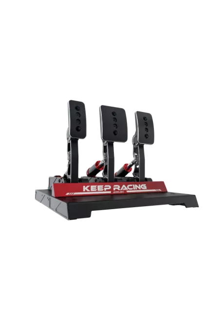 simline.euSimagic P1000Simagic